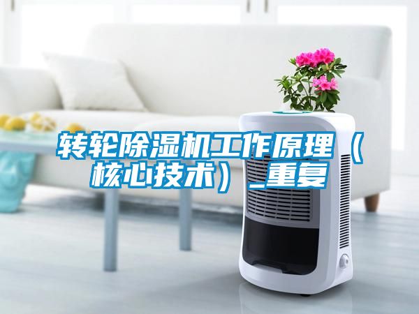 转轮香蕉福利视频机工作原理（核心技术）_重复