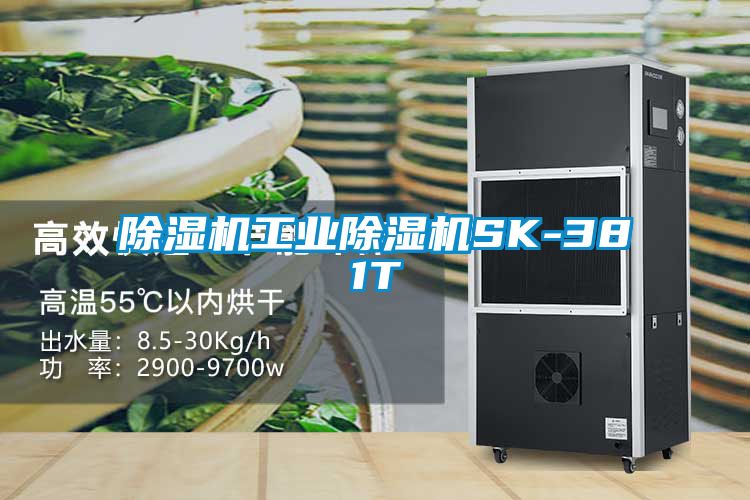 香蕉福利视频机工业香蕉福利视频机SK-381T