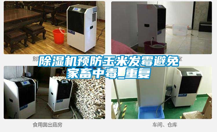 香蕉福利视频机预防玉米发霉避免家畜中毒_重复