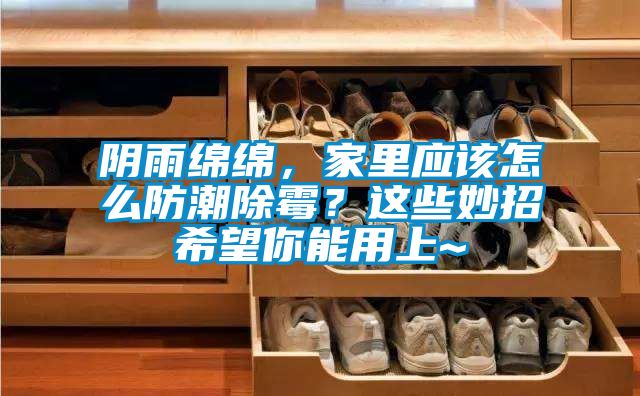 阴雨绵绵，家里应该怎么防潮除霉？这些妙招希望你能用上~