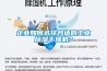 企业如何选择合适的工业香蕉福利视频干燥机？
