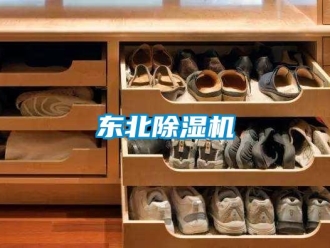 企业成人香蕉在线观看东北香蕉福利视频机