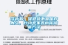 滋补品、保健品不宜保存太久，行内专家告诉你储藏方法