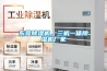 东莞香蕉福利视频机，三机一体香蕉福利视频机厂家