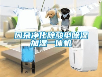 行业成人香蕉在线观看因朵净化除酸型香蕉福利视频加湿一体机