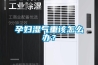孕妇湿气重该怎么办？