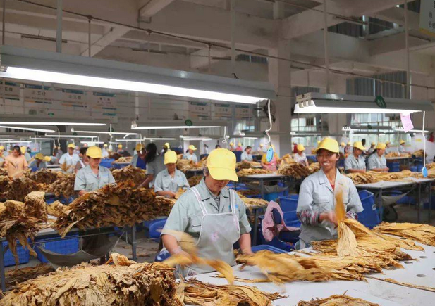 烟草行业加湿处理解决香蕉黄色APP网址